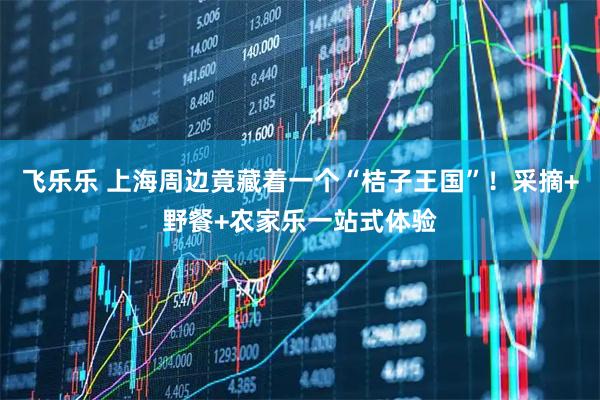 飞乐乐 上海周边竟藏着一个“桔子王国”！采摘+野餐+农家乐一站式体验