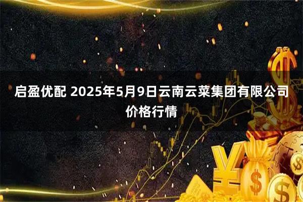 启盈优配 2025年5月9日云南云菜集团有限公司价格行情