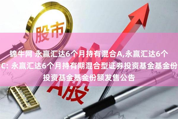锦牛网 永赢汇达6个月持有混合A,永赢汇达6个月持有混合C: 永赢汇达6个月持有期混合型证券投资基金基金份额发售公告