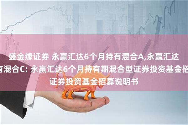 盛金缘证券 永赢汇达6个月持有混合A,永赢汇达6个月持有混合C: 永赢汇达6个月持有期混合型证券投资基金招募说明书