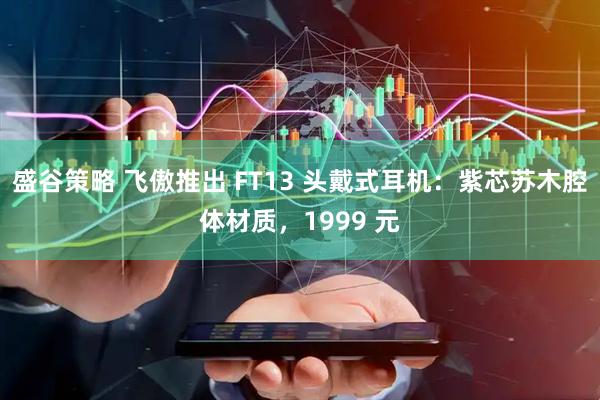 盛谷策略 飞傲推出 FT13 头戴式耳机：紫芯苏木腔体材质，1999 元
