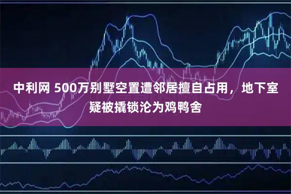 中利网 500万别墅空置遭邻居擅自占用，地下室疑被撬锁沦为鸡鸭舍