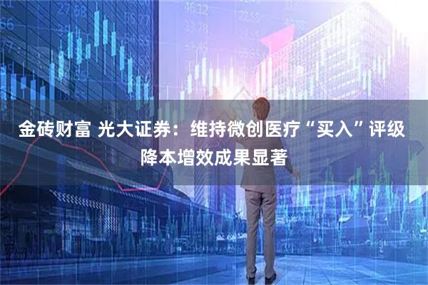 金砖财富 光大证券：维持微创医疗“买入”评级 降本增效成果显著